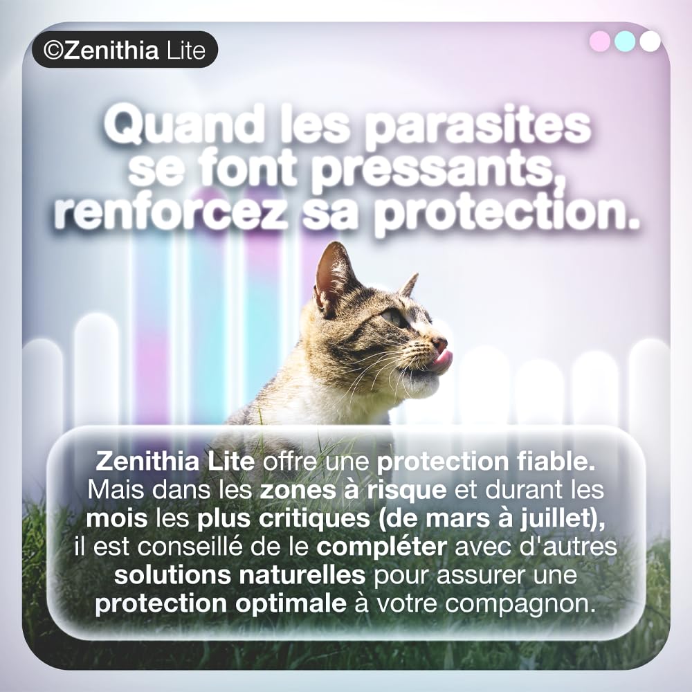 ZENITHIA Lite Collier Antiparasitaire Chat – Répulsif Insectes, Anti-Puces, Tiques et Moustiques – 12 Mois Protection – 48 cm – Ajustable – Végétal – Étanche – 1 Unité