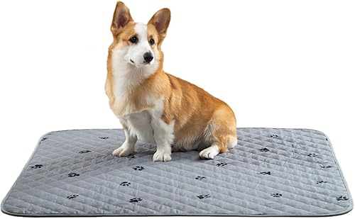 KANECH Almohadillas lavables para orina de perros, 48 x 48 pulgadas (paquete de 2), antideslizantes, de gran absorción, reutilizables, para disponible en Yaxa Peru