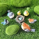 HONEYSHOW Fairy Garden Accessories,Bird Ornaments for Fairy Garden Hand Painted DIY Miniature Garden