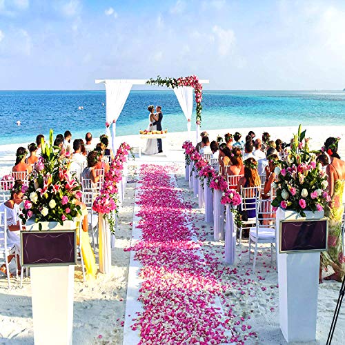 Image of HongyiTime 1200 PCS Artificial Silk Rose Petals Decoration for Romantic Night, Wedding, Event, Party, Decoration, Color Pink Rose Petals