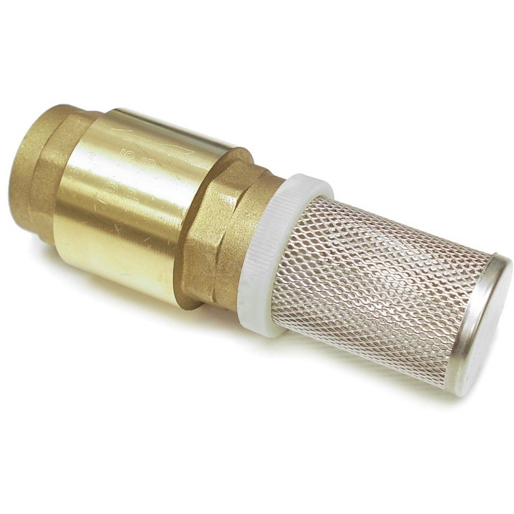 L&S Engineers 1" Bsp Pickup Filter/Strainer With Non Return Valve