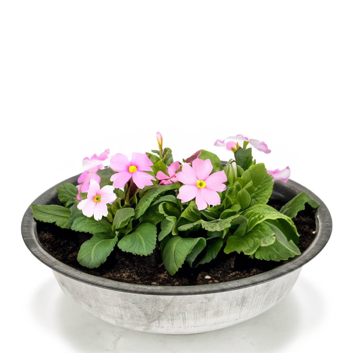 Matches21 Home & Hobby Silver Round Zinc Tub As Flower Bowl Metal Bowl For Outdoor Use – Large 40 Cm Metal Tub As Garden Decorative Planter – Zinc Bowl As Solar Fountain Metal Bowl Or Outdoor Plant Bowl