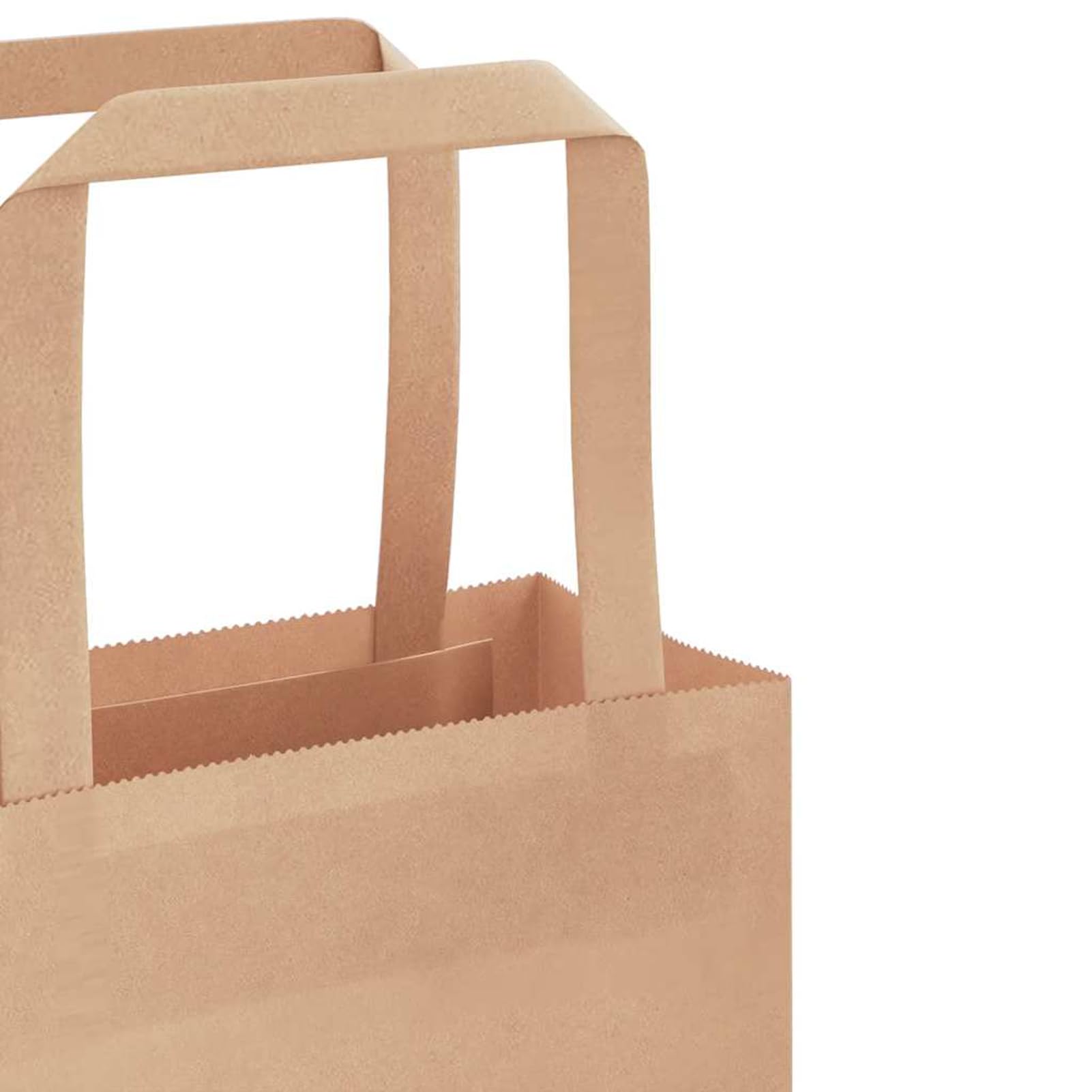 Fecpoo Papierowe torby transportowe 250 sztuk – brązowe, 21 x 11 x 28 cm, z papieru typu kraft nadającego się do recyklingu (80 g/m²), ze stabilnymi papierowymi uchwytami linowymi, idealne do
