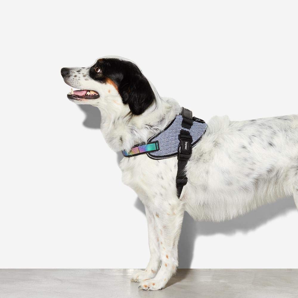 Amazon | 【zee.dog】ジードッグ FLY HARNESS フライハーネス (URBAN
