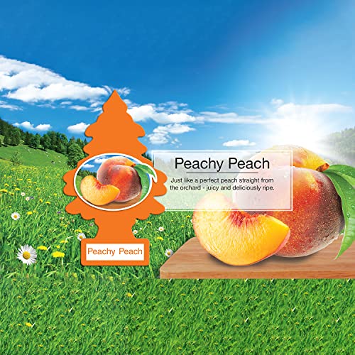 Image of Little Trees Cardboard Hanging Car, Home & Office Air Freshener, Peachy Peach (Pack of 6)