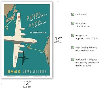 Amazon.com: Fly to America and Okinawa - Deluxe DC-6B - Japan