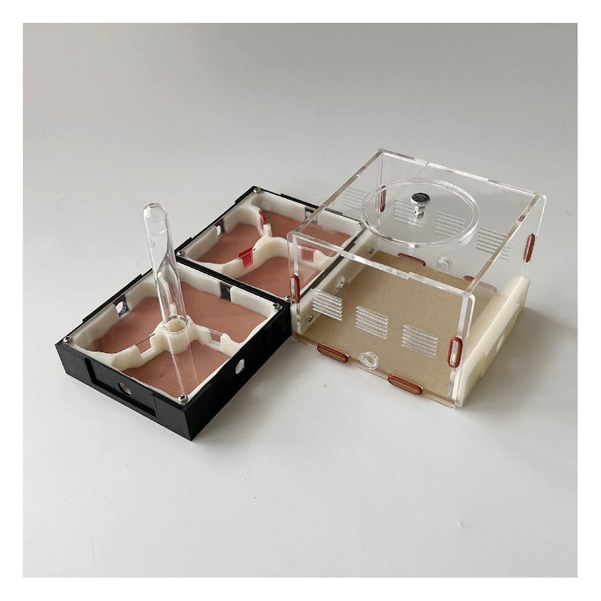 Ameisenhaus, Ameisen-Reagenzglas-Nest aus Acryl, Mehrfarbig(G)