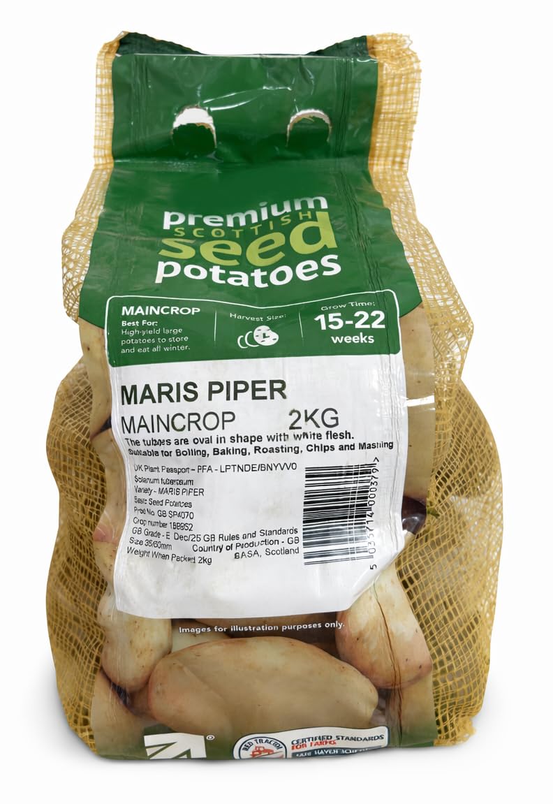 2KG Maris Piper Seed Potatoes – Maincrop Variety, Ideal for Roasting, Chips & Mash. Plant March–May, Harvest August–September