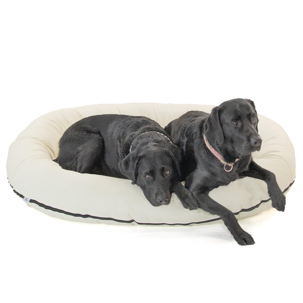 Wallace & Jones | Premium Hundebett Bolton Hundesofa 95x81 cm Hundecouch aus Kunstleder Hundebett für mittelgroße Hunde, verdeckter Zipper, waschbar, rutschfest, Creme-weiß