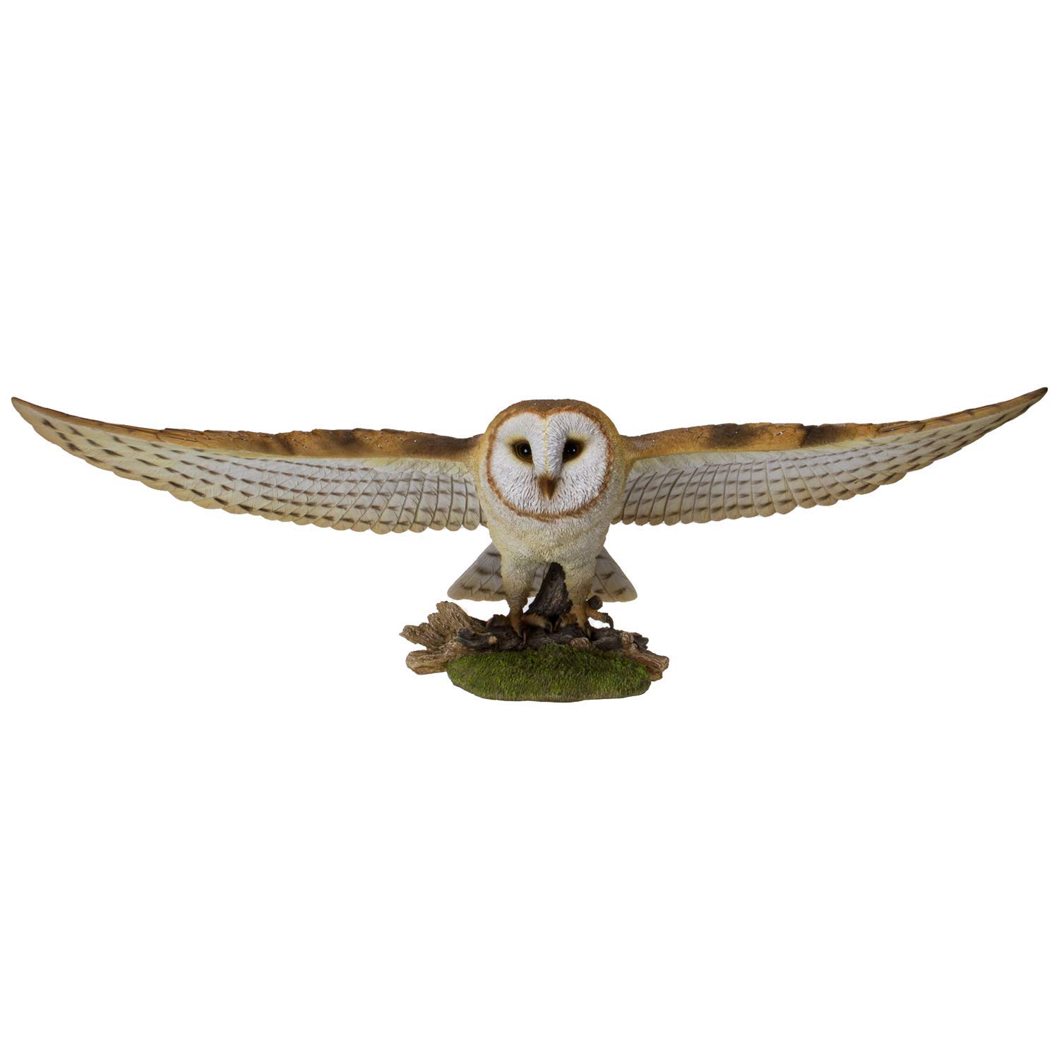 Amazon.co.jp: Pacific Giftware アニマルワールドフライング