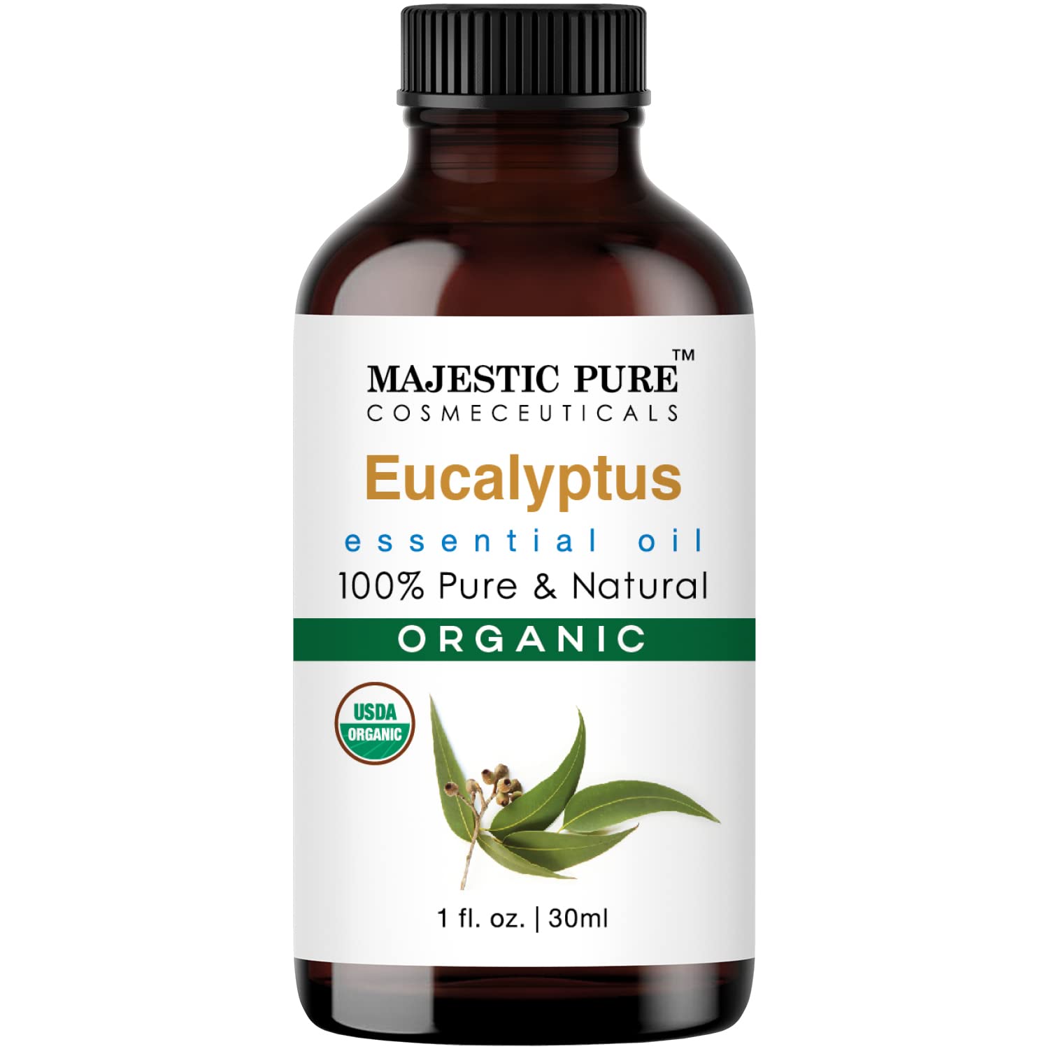 Majestic Pure Eucalyptus Essential Oil - 100% Pure Eucalyptus Oil for Aromatherapy, Massage & Topical Uses, Perfect for Diffuser & Essential Oil Diffuser - 1 Fl Oz