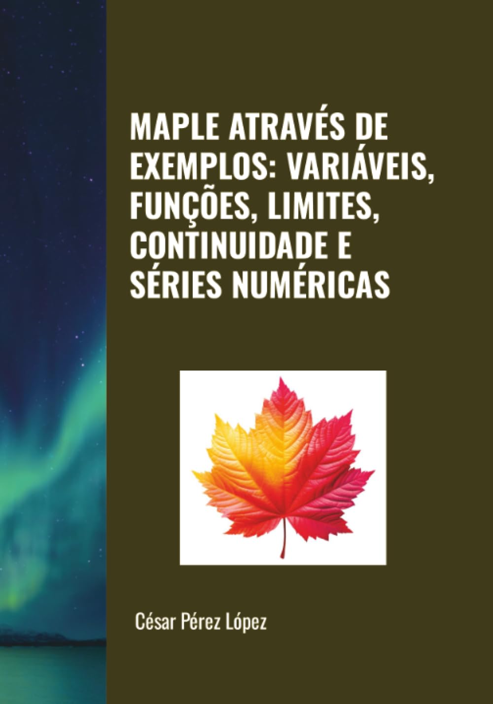 MAPLE ATRAVÉS DE EXEMPLOS: VARIÁVEIS, FUNÇÕES, LIMITES, CONTINUIDADE E SÉRIES NUMÉRICAS