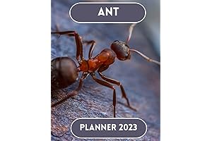 Auntie Acid Calendar 2020: A Daily Dose of Crass, Crude, and Caustic Comics