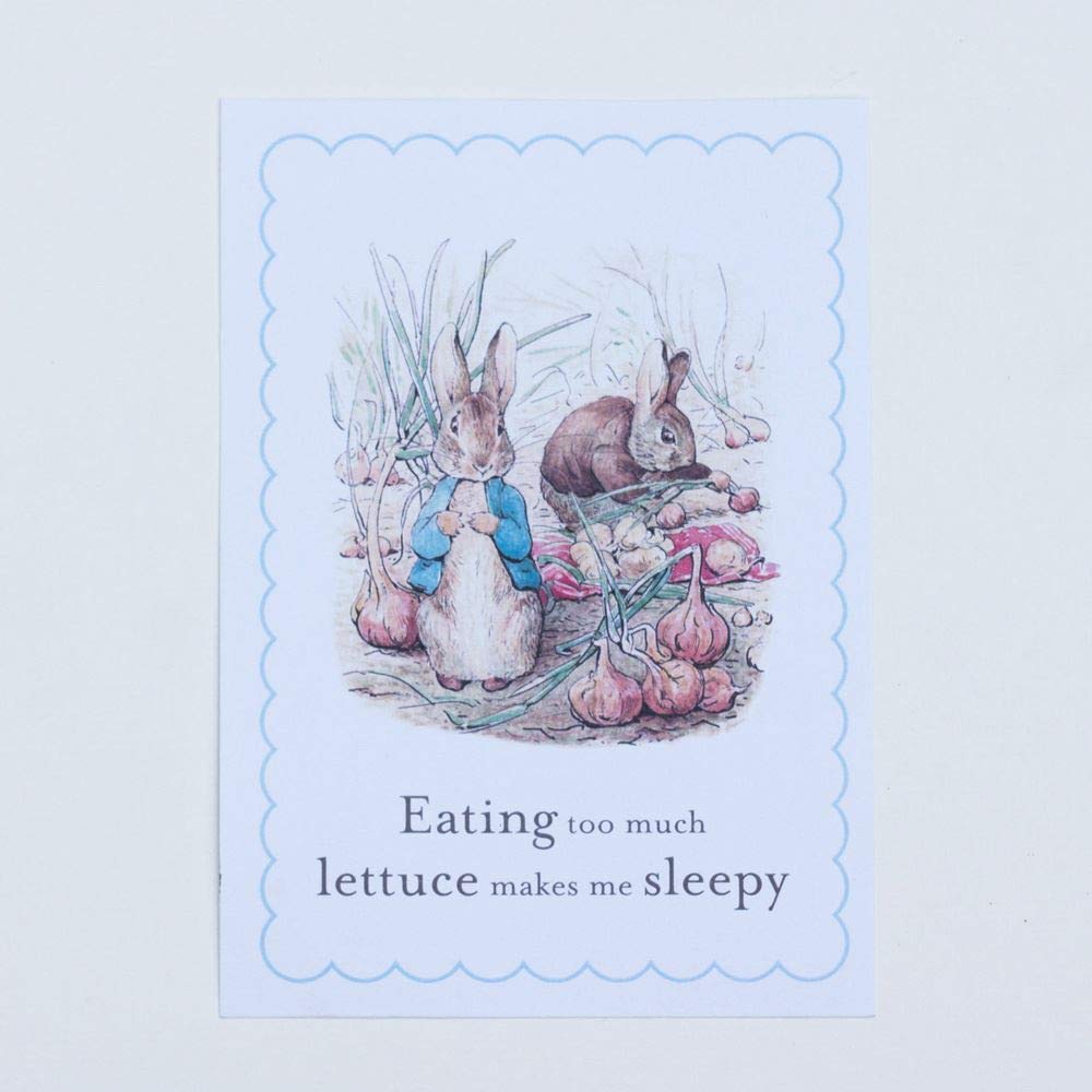 Peter Rabbit Card and Donkey 'Eating Too Much Lettuce' Party