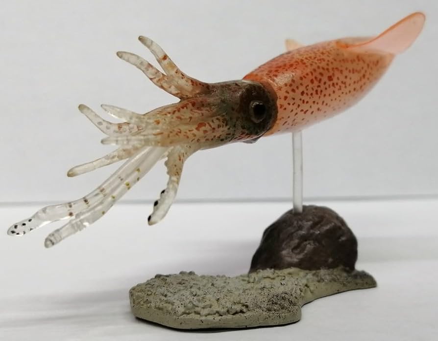 Amazon | ホタルイカ 週刊 日本の天然記念物 海洋堂 イカ 烏賊