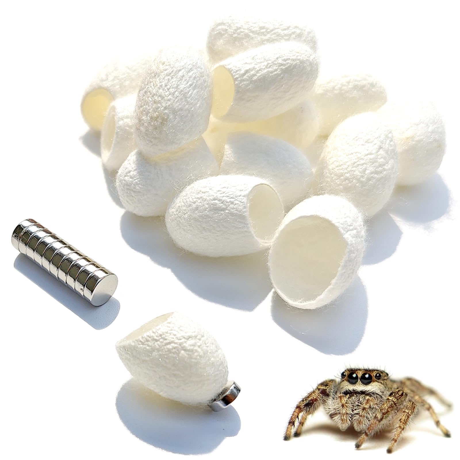 Magnethaus Für Springspinnen & Reptilien - Rattan Versteck Mit Magnet | Terrarium Deko