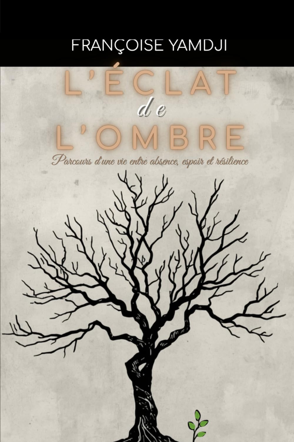 L’ÉCLAT DE L’OMBRE: Parcours d'une vie entre absence, espoir et résilience