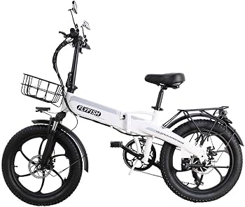 Amazon | 公道走行可能 FLY FISH 電動自転車 折りたたみ自転車 20