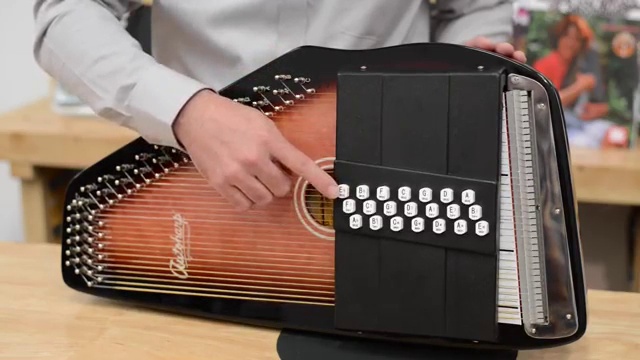 Amazon.com: Autoharp by Oscar Schmidt 21 Chord Maple Body Autoharp