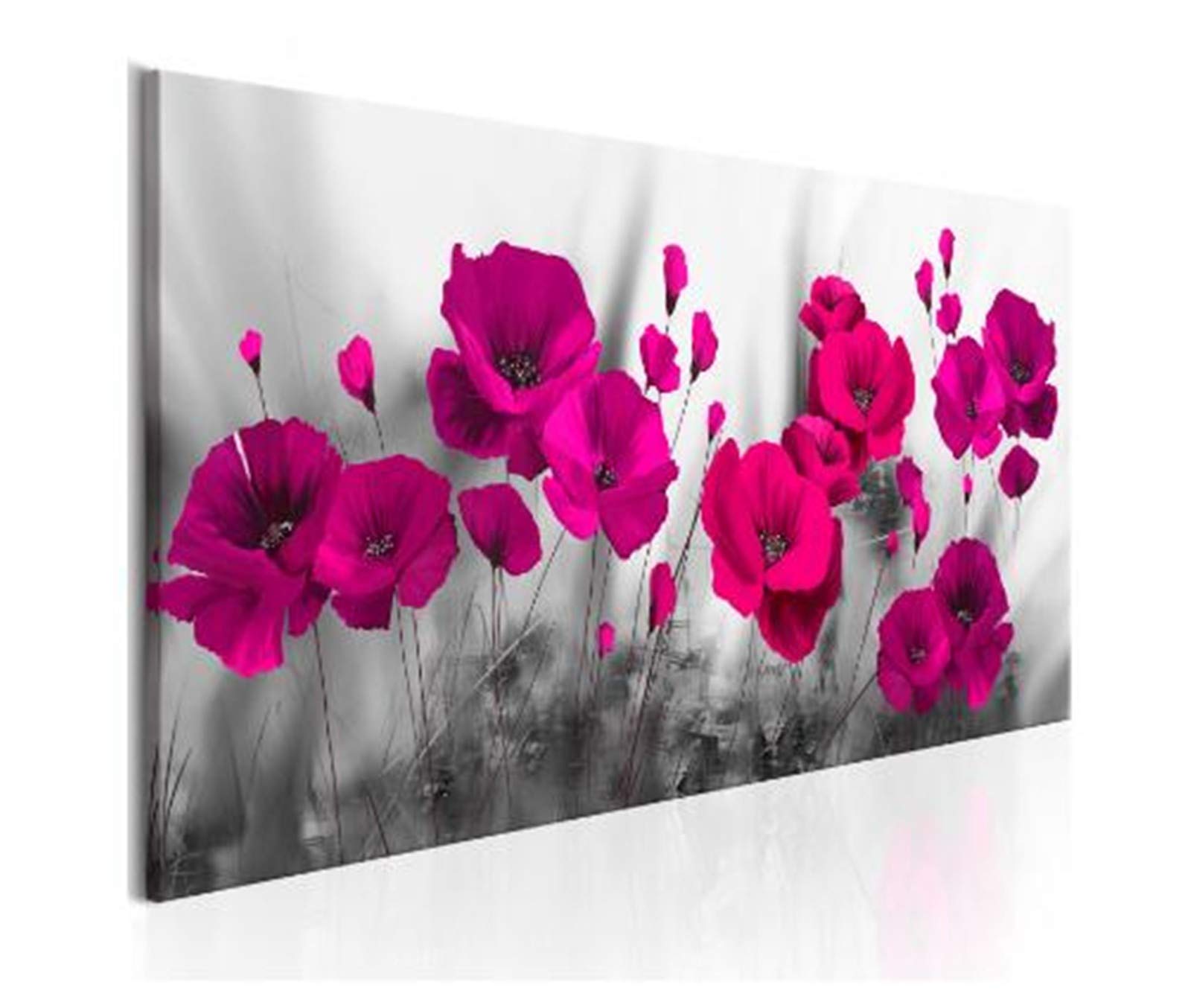 Peinture diamant pavot rose 70x200cm pour combler les grands murs vides du salon