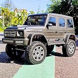UJIKHSD 1/10 Scale Adult Pro Off-Road RC Rock Crawler Model Car 2.4Ghz 4WD Off-Road Waterproof RC Tr