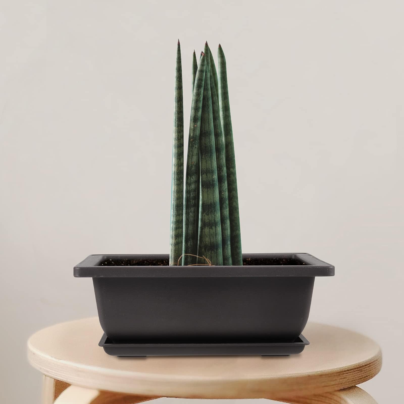 WONGWAI Lot de 20 pots rectangulaires en plastique pour bonsaï - 16,5 cm - Avec bacs d'humidité - Pour balcon, cour, patio, jardin, noir
