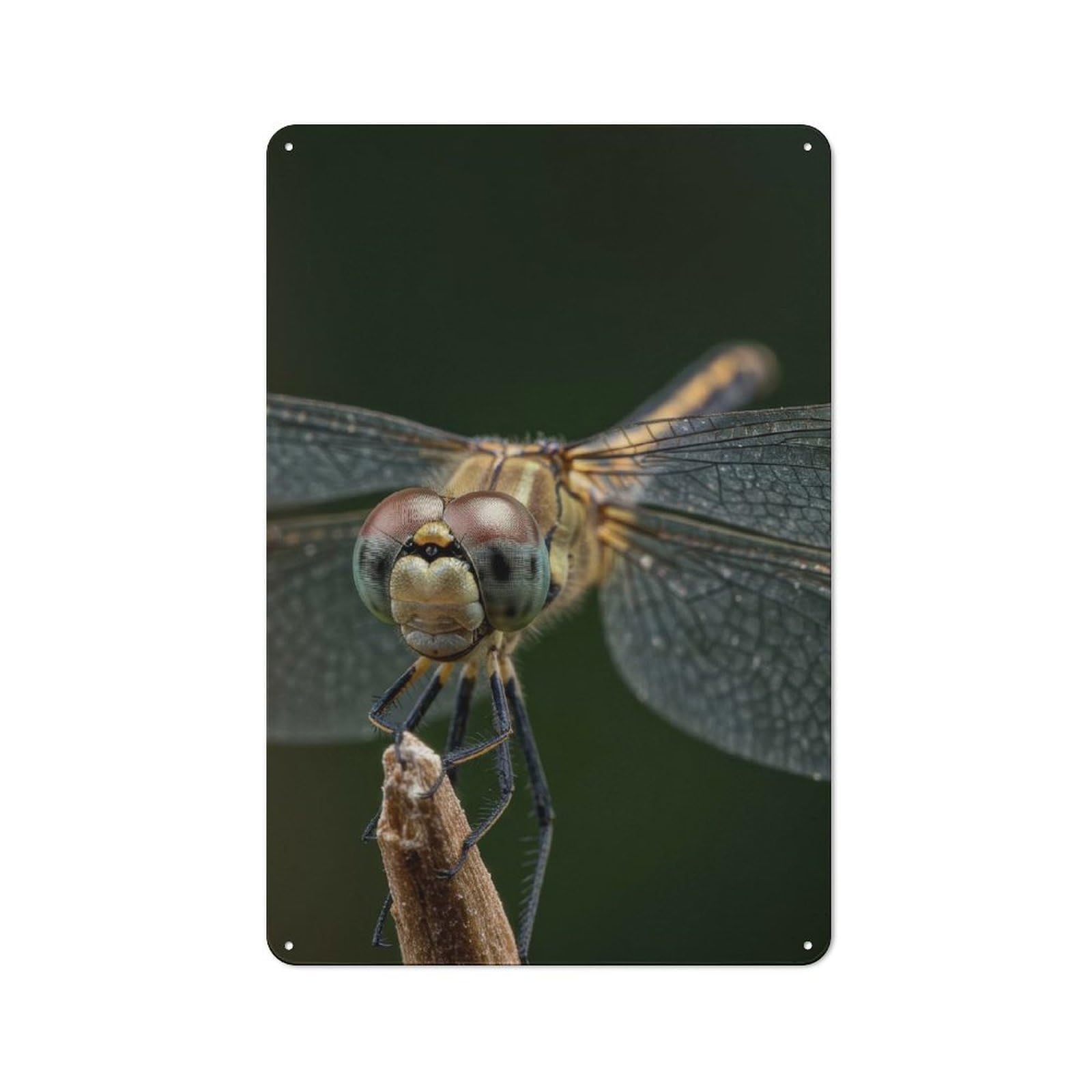 Junmoney Style-23 Dragonfly Close-Up On Twig Retro Tin Wall Plaque 30X20cm For Hobby Room Or Studio, New Home Wall Decor For Hobby Room Decor Fans