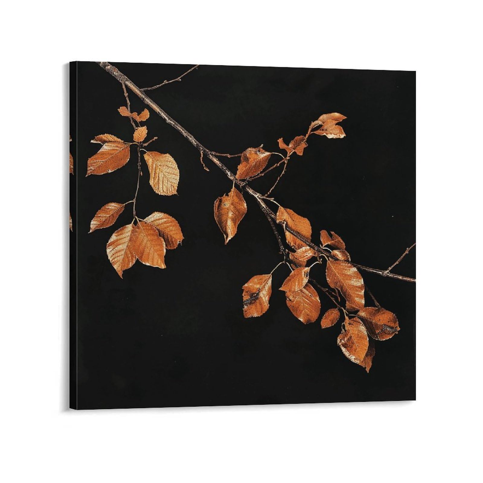 Dark Leaves Pictures Canvas Wall Art for Bedroom 20x20inch(50x50cm) Canvas Prints Artwork for Walls Modern Picture Artwork Painting for Living Room Aesthetic Wall Paintings for Bathroom Kitchen Office