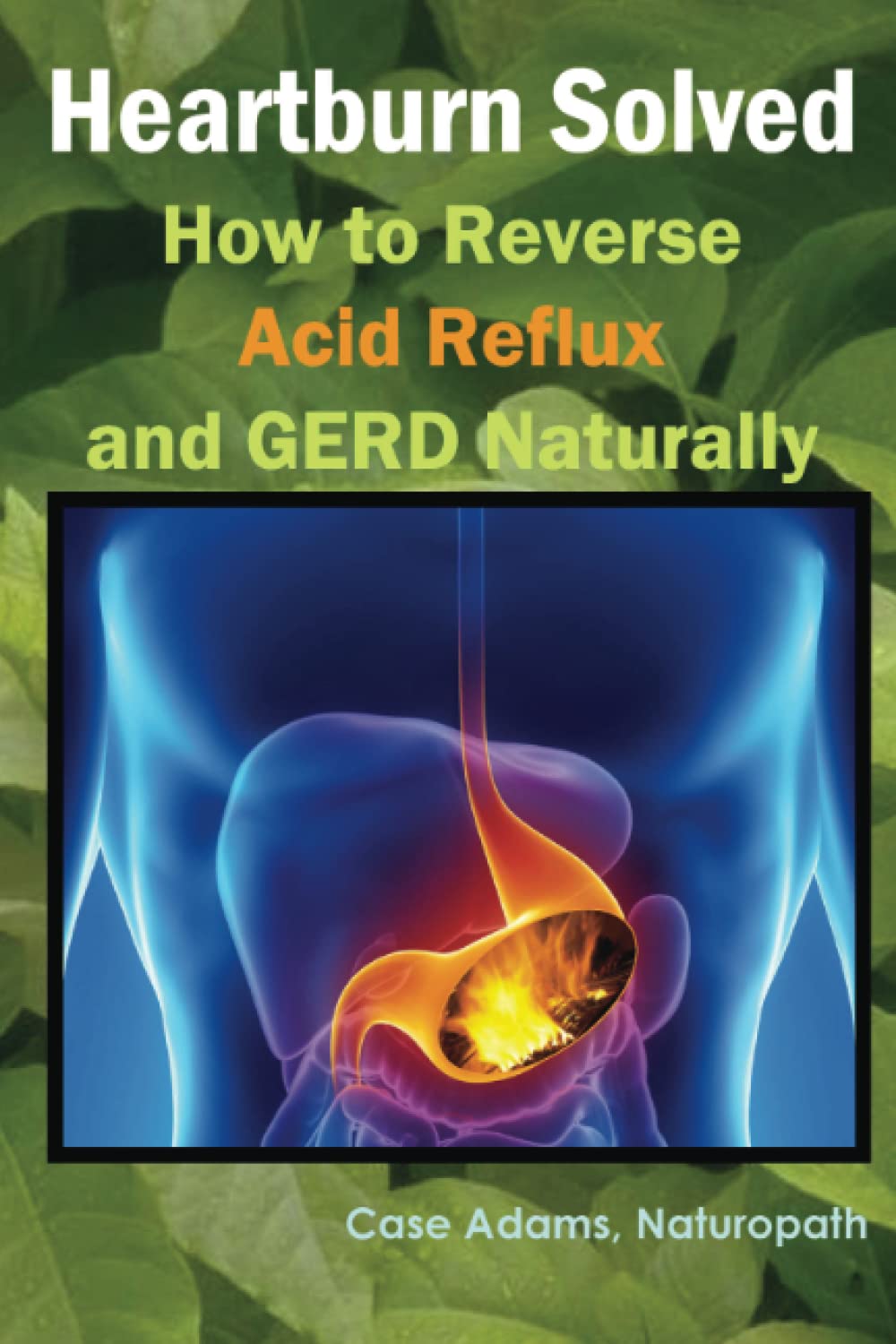 Heartburn Solved: How to Reverse Acid Reflux and GERD Naturally