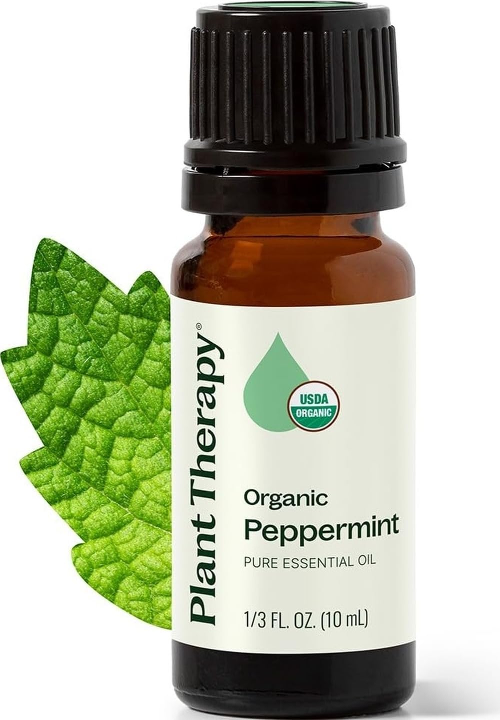 Plant Therapy Peppermint