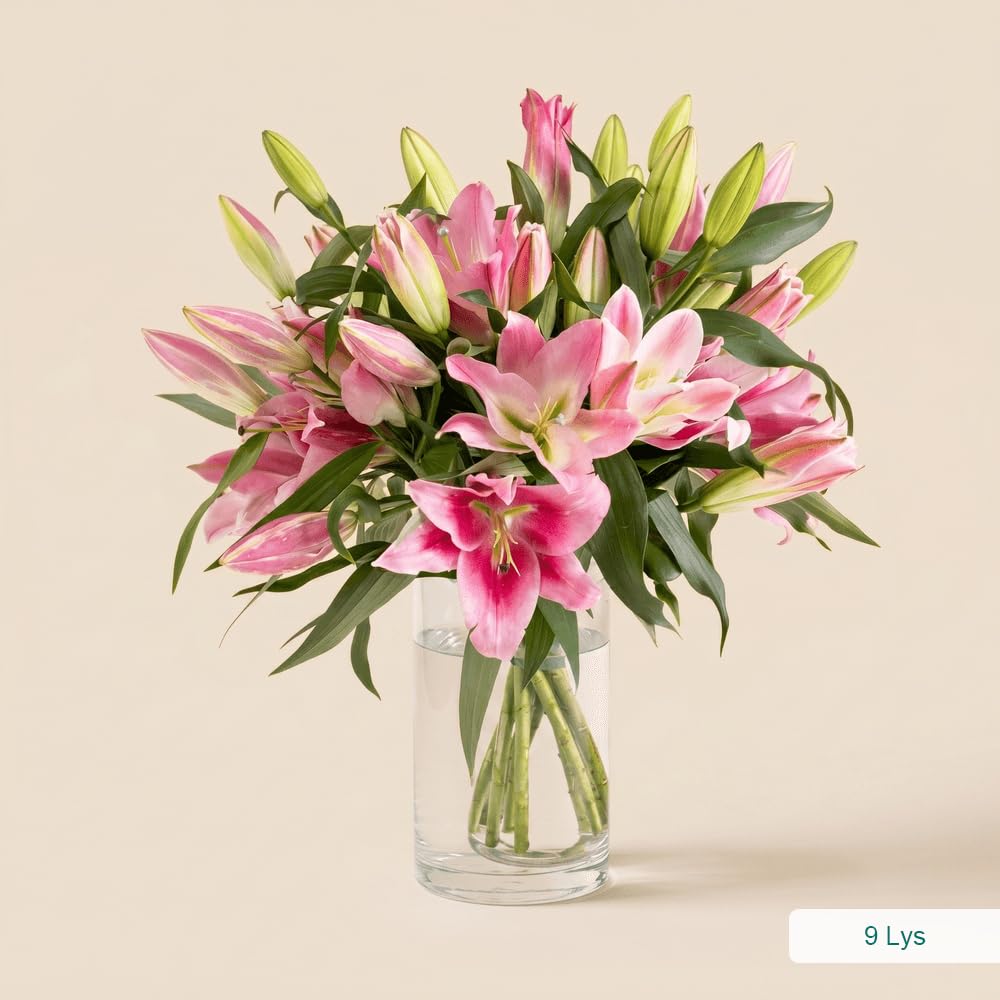 Bouquet de Lys Roses Fraîches, env. 5 Tiges