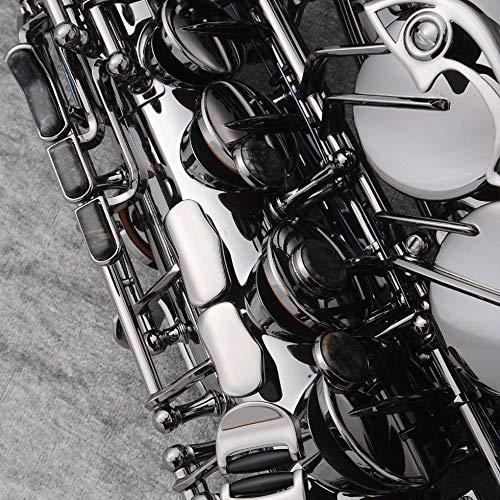 Amazon.co.jp: Cannonball B5 バリトンサックス BIG BELL STONE SERIES