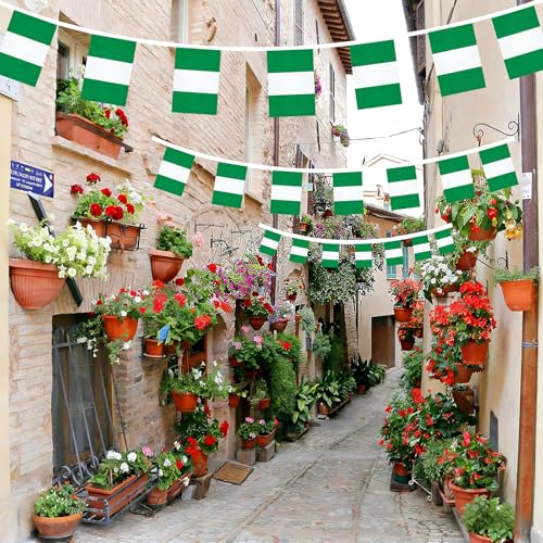 Image of AhfuLife 30 Pcs Nigeria String Flags for Independence Day Decorations, Small Nigerian Flag Bunting Banner, Double Sided for National Day Garden Street Party Decorations (5.5x8.3 Inch-33 Ft)