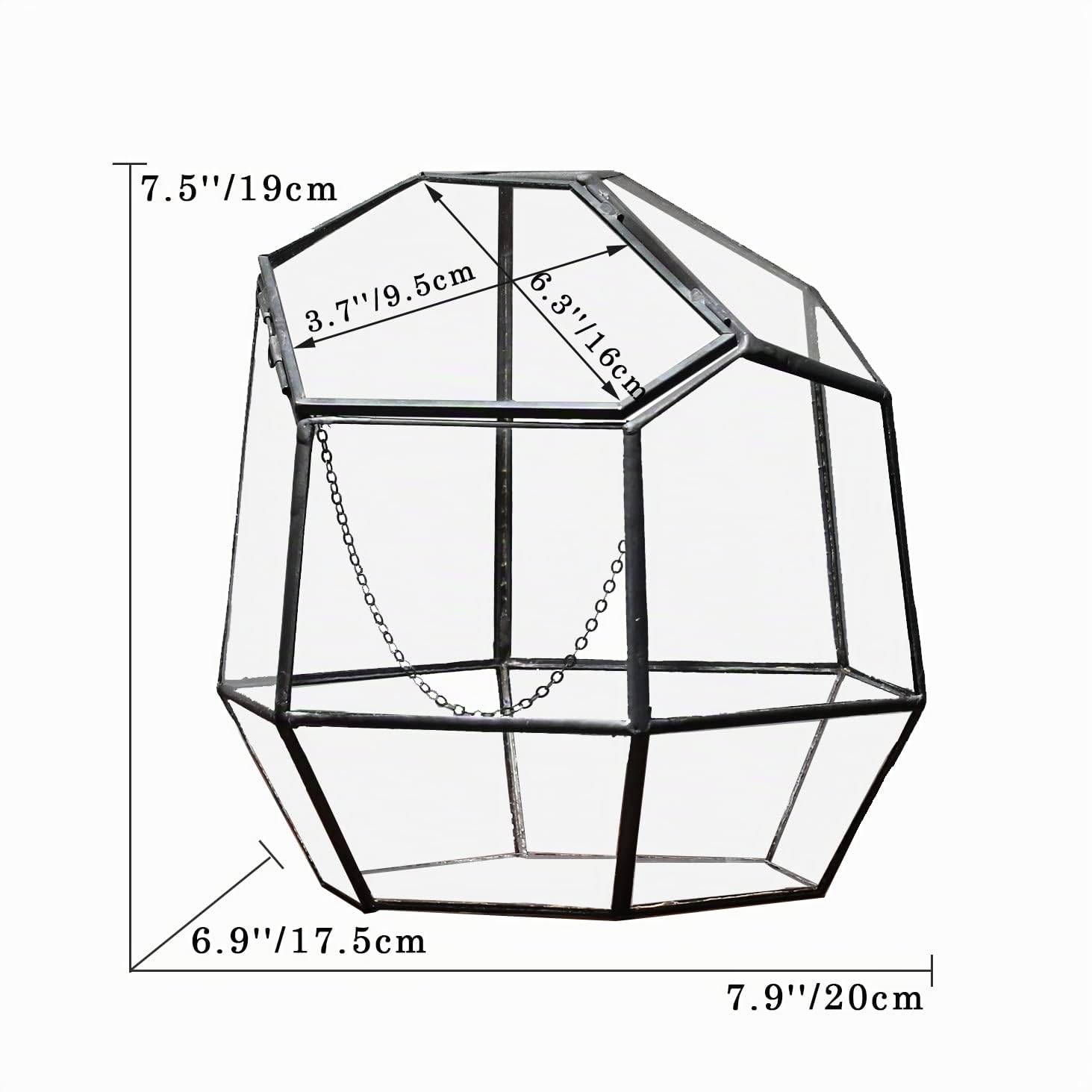NCYP 19 cm Terrario geometrico a forma di piccola chiusura con porta, vaso in vetro irregolare nero, moderno vaso da fiori di cactus succulenti, decorazione per la casa giardino (Piante non incluse)