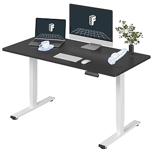 FLEXISPOT E6 3-Stage Dual Motor Electric Standing Desk 55 x 28 Sit Stand Up Desk Holds 220 lbs
