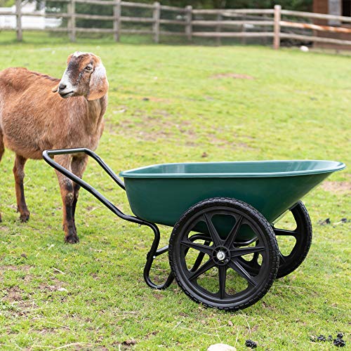 Garden Star 70030 Dual-Wheel Farm Barrow 6 Cubic Foot Wheelbarrow, 20