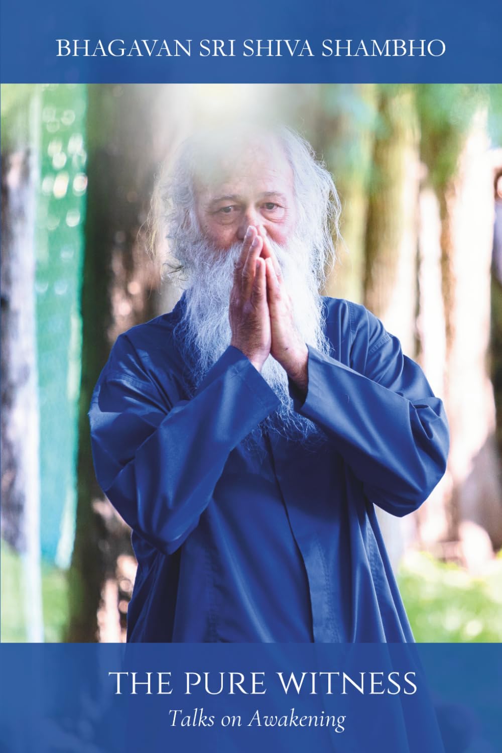 The Pure Witness: Talks on Awakening (THE AWAKENING COLLECTION)
