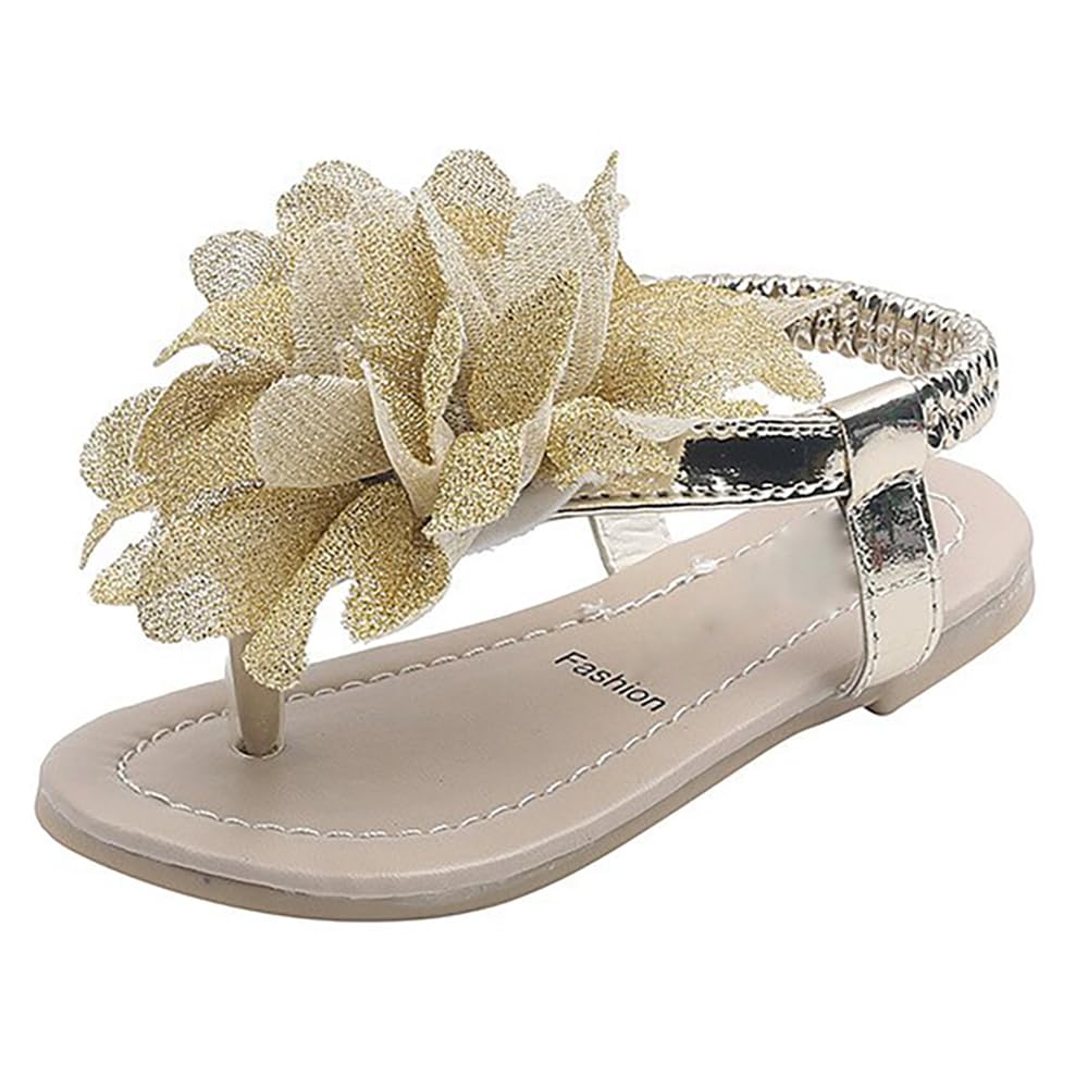 See full amazon price history chart for Bold N Elegant Girls Shiny Shimmer Big Flower Fancy Party Sandal with Backstrap Non Slip Baby Girl Birthday Footwear for Infant Toddler Young Girls (Gold, 3_Point_5_Years) Bold N Elegant Girls Shiny Shimmer Big Flower Fancy Party Sandal with Backstrap Non Slip Baby Girl Birthday Footwear for Infant Toddler Young Girls (Gold, 3_Point_5_Years) (B0CBPJ3JD8) Amazon Price History, Amazon Price Tracker