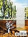 Painting Trees and Landscapes in Watercolor (Dover Art Instruction)