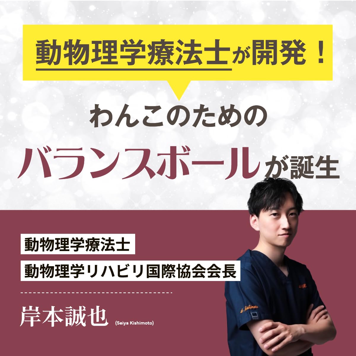 Amazon.co.jp: アプリア バランスボーン 犬用 バランスボール 獣医推奨