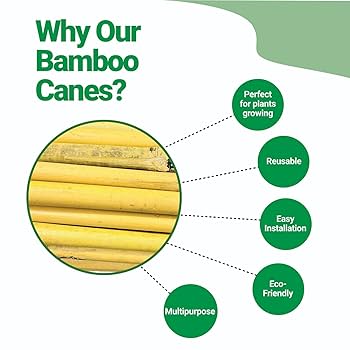 Heavy Duty Bamboo Plant Support Garden Canes | Strong, Professional, Thick And Adequate Bamboo Canes Support For Plants Ideal For The Gardening Jobs