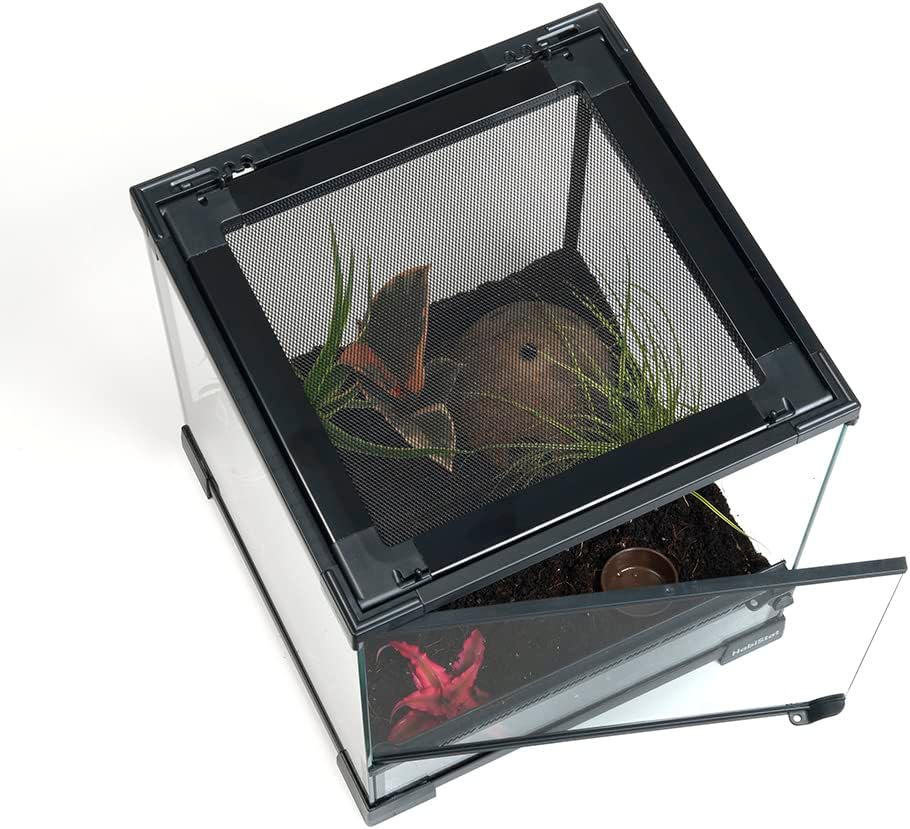 Habistat Glass Terrarium for Reptiles 12"x12"x18" – Stackable Reptile Enclosure for Inverts & Amphibians with Lock & Waterproof Base, Ideal Terrarium Tank for Chameleons, Geckos and Bioactive Setups