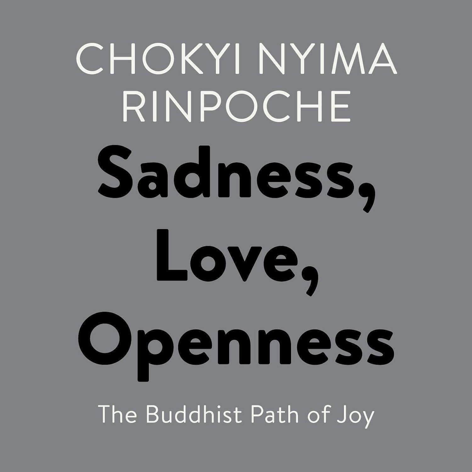 The Buddhist Path of Joy