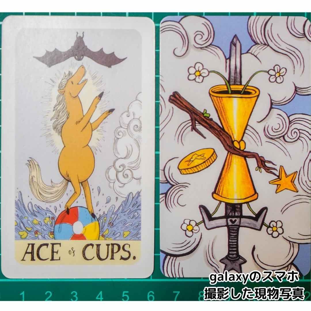 Amazon | タロットカード アドベンチャータイム 可愛い 美しい