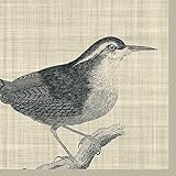 Paperproducts Design Linen Bird Paper Luncheon Napkin, 6.5 by 6.5-Inch, Multicolored