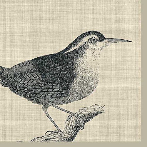 Paperproducts Design Linen Bird Paper Luncheon Napkin, 6.5 by 6.5-Inch, Multicolored
