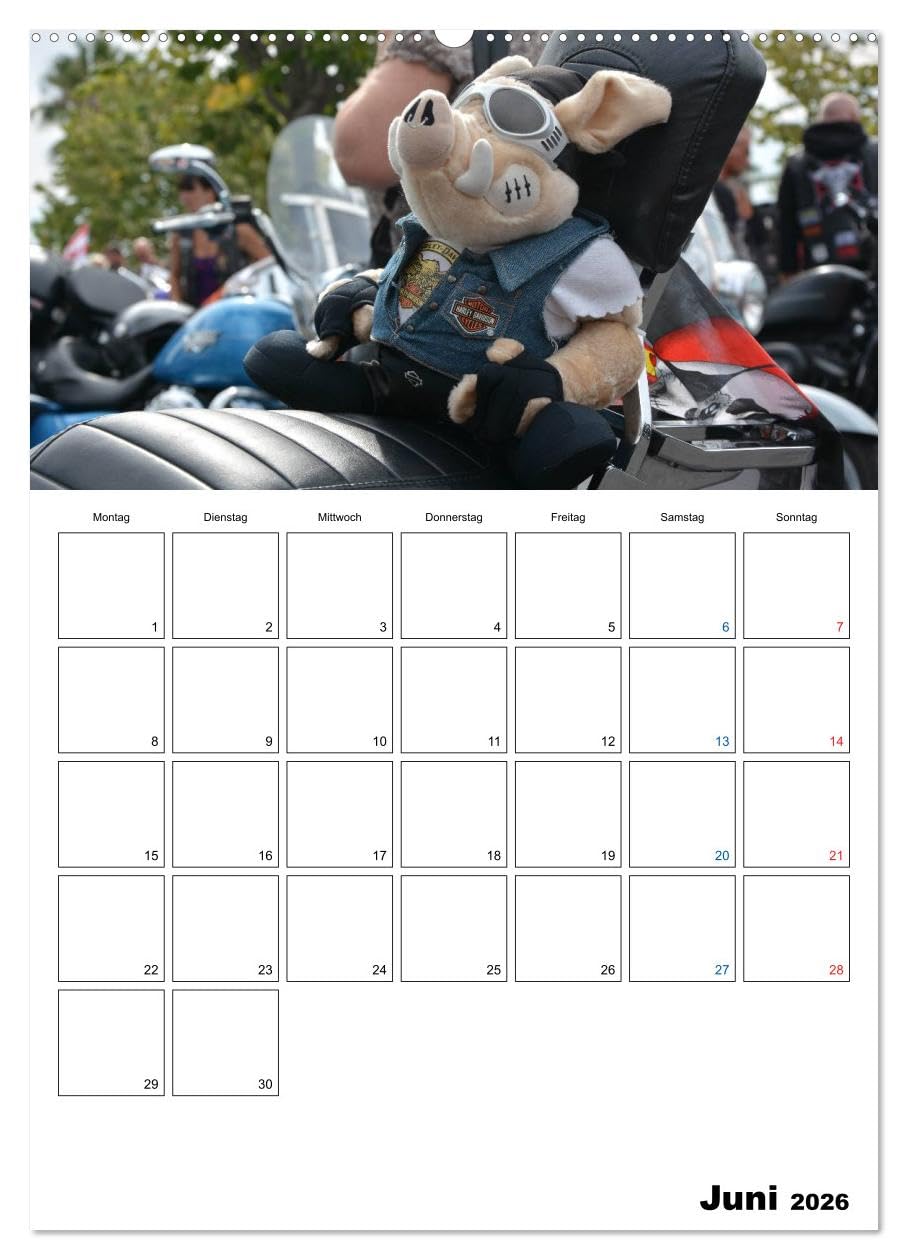 Harley Davidson Familienplaner (hochwertiger Premium Wandkalender 2026 DIN A2 hoch), Kunstdruck in Hochglanz: Familienplaner für Harley-Fans (CALVENDO Hobbys)