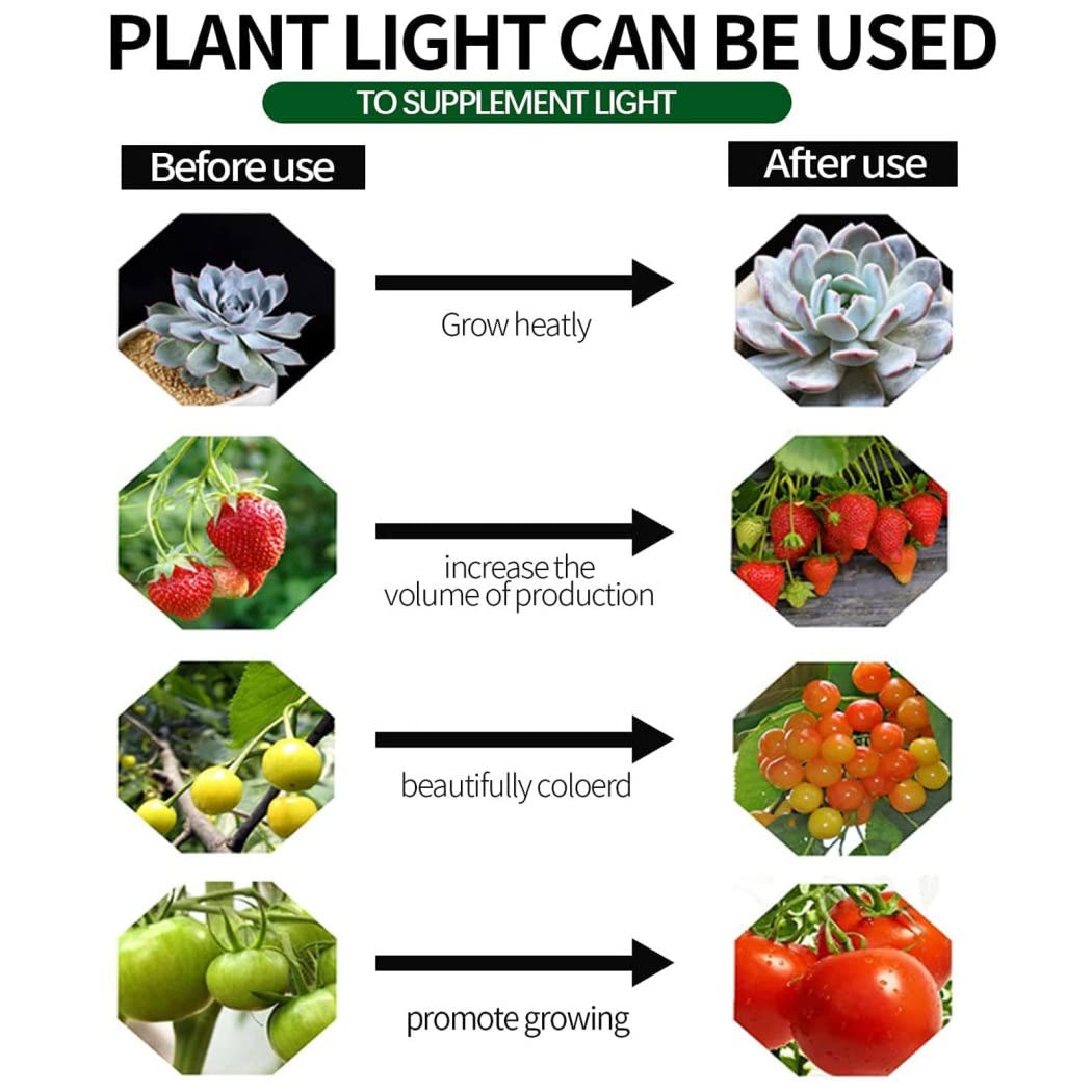 Lampada a LED per la Crescita con Asta Telescopica, 5 Luci per Piante da Interni Spettro Completo con Luminosità Regolabile, Grow Light per Semina, Crescita, Fioritura e Fruttificazione