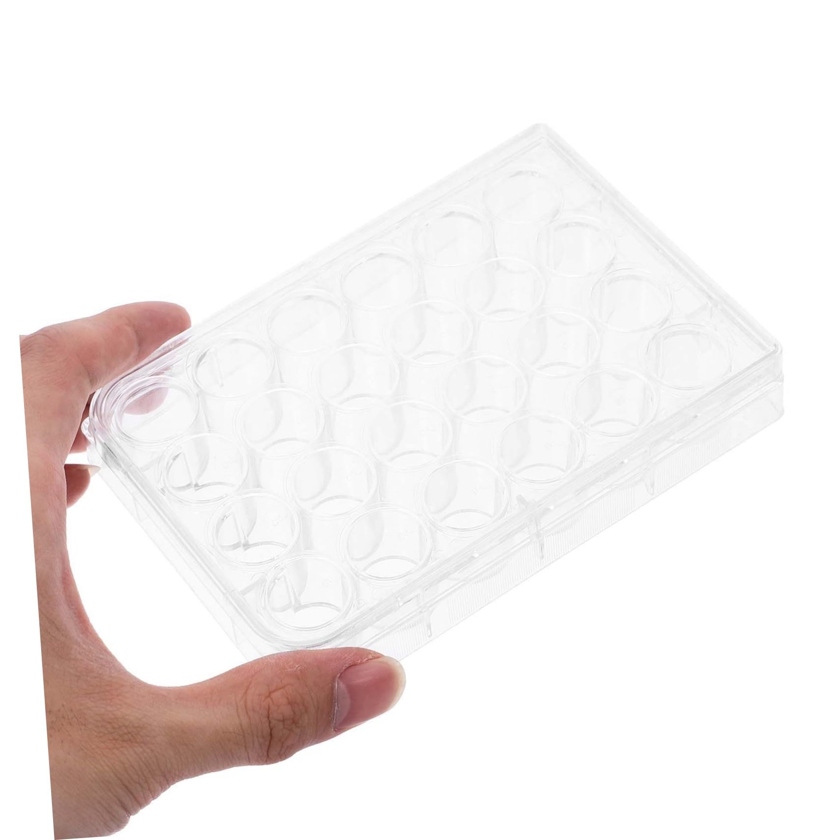 Plaque de Culture Cellulaire pour Culture Tissulaire en Polystyrène 24 Trous Lot de 2pcs Conçue pour Analyse D'échantillons en Laboratoire