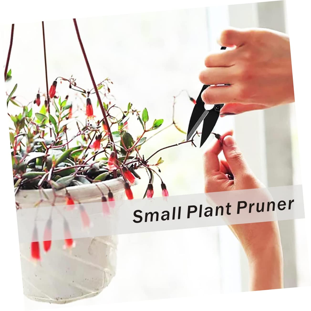 Sosoport 36stücke Teiliges Bonsai-schneideset Präzise Trimm Und Pflanzenschneider Für Gartenarbeiten Zum Beschneiden Von Bonsai Und Blumen Ergonomischer Griff Für Maximalen Komfort